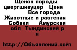 Щенок породы  цвергшнауцер › Цена ­ 30 000 - Все города Животные и растения » Собаки   . Амурская обл.,Тындинский р-н